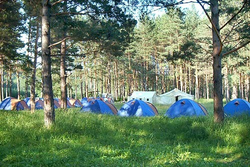 Camp-forest